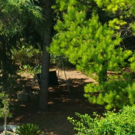 Bed and Breakfast Paestum House Exterior foto